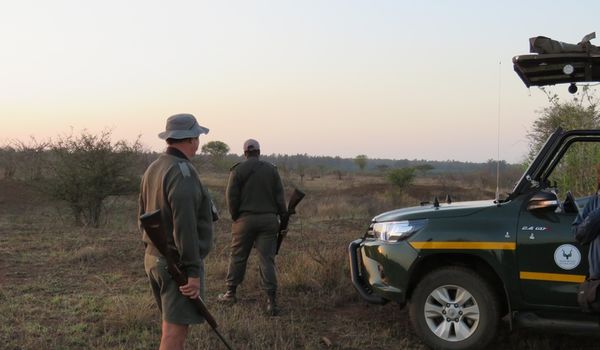 Buschtour Buschwanderung durch Afrika